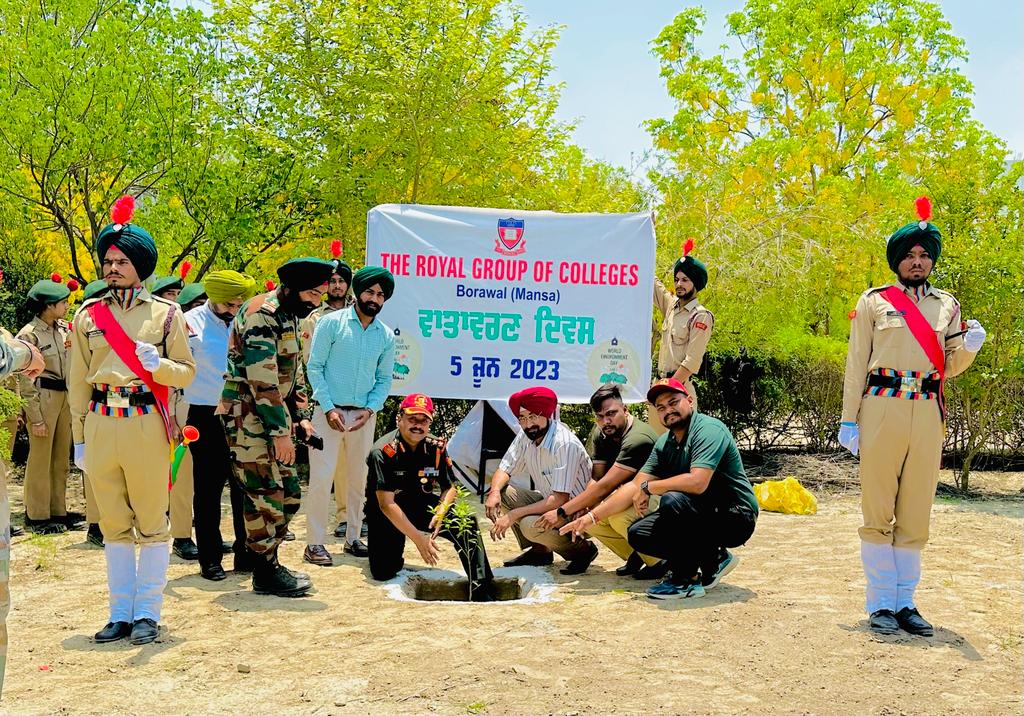 PHOTO-2025-05-04-19-05-06 (1)